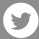 Twitter Icon