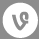 Vine Icon